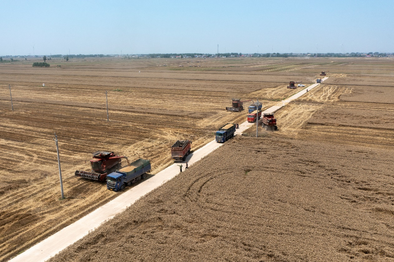 種業(yè)2.png 種業(yè)2.png