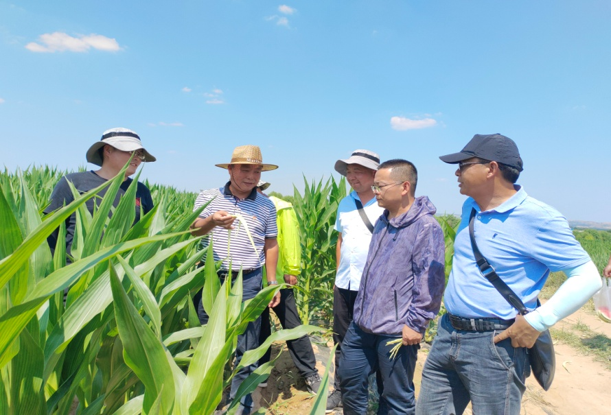 圖片2.png 圖片2.png