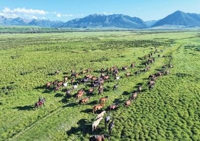 20240906_006_05_8026.jpg 20240906_006_05_8026.jpg