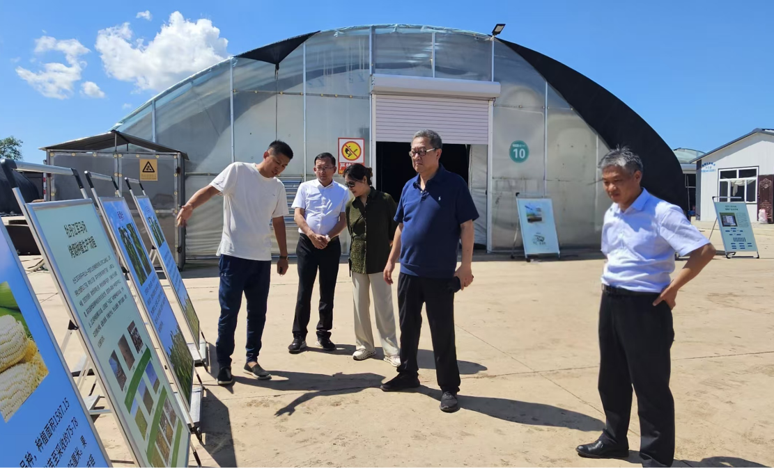 圖片4.png 圖片4.png